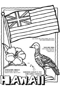 Hawaii flower bird and flag